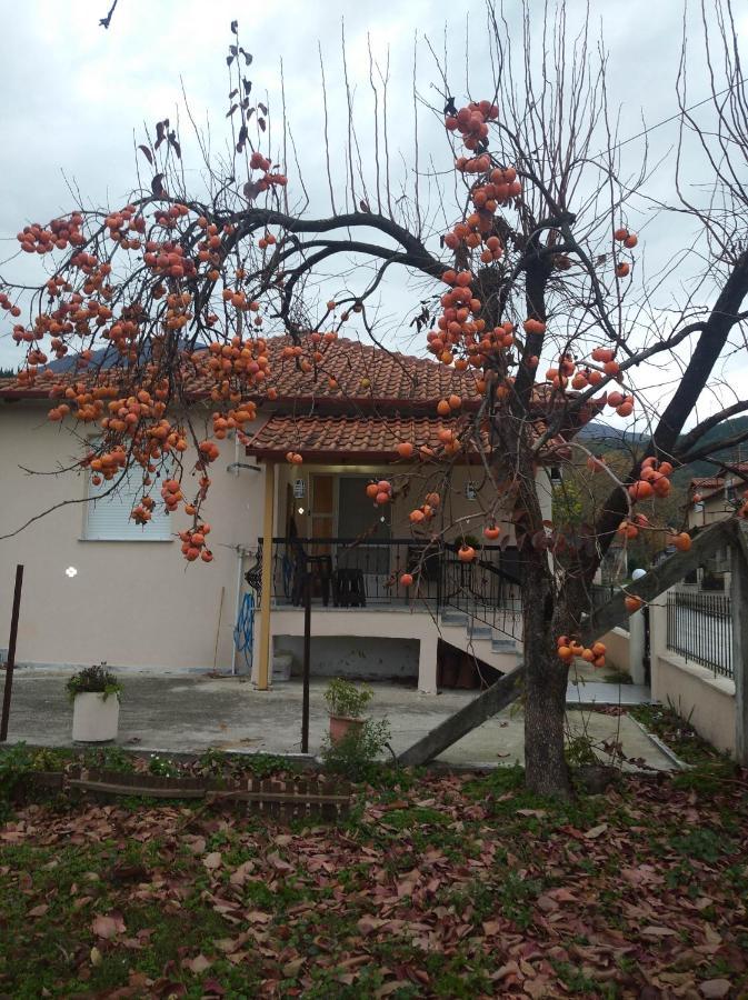 Casa De Pozar Βίλα Likostomon Εξωτερικό φωτογραφία
